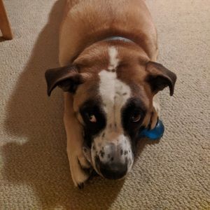 Meet your Posher, Tucker